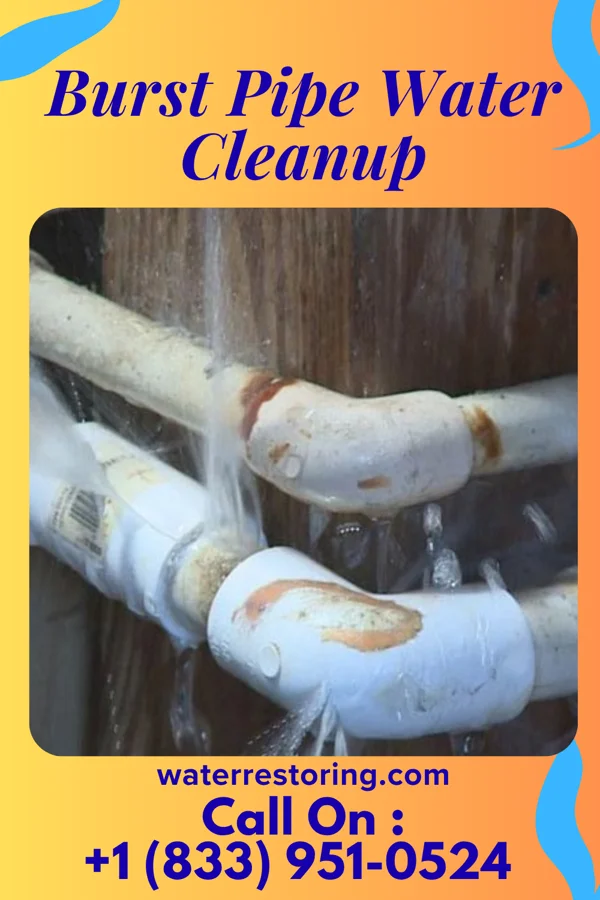 Burst Pipe Water Cleanup in Tuckahoe, VA