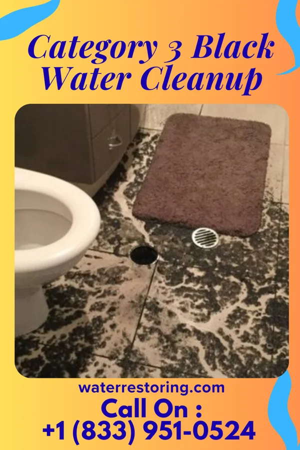 Category 3 Black Water Cleanup in Tuckahoe, VA