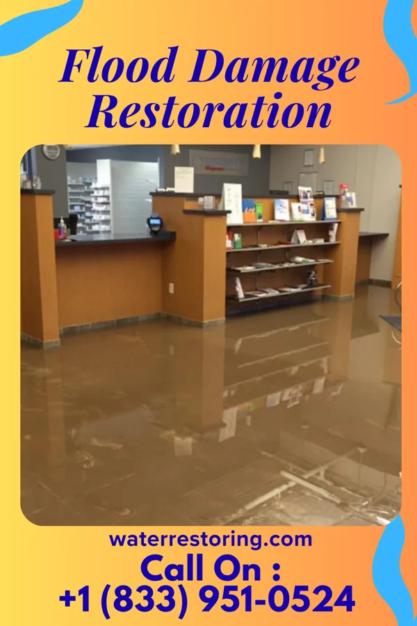 Flood Damage Restoration in Tuckahoe, VA