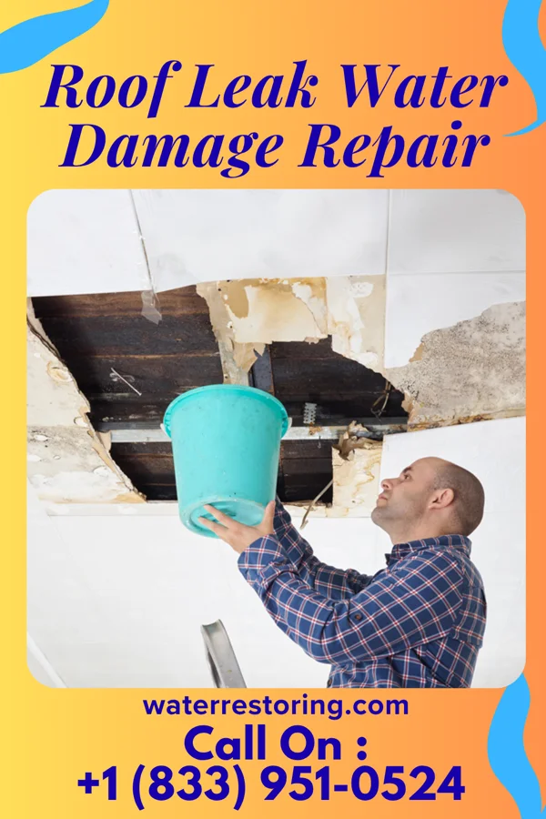 Roof Leak Water Damage Repair in Tuckahoe, VA