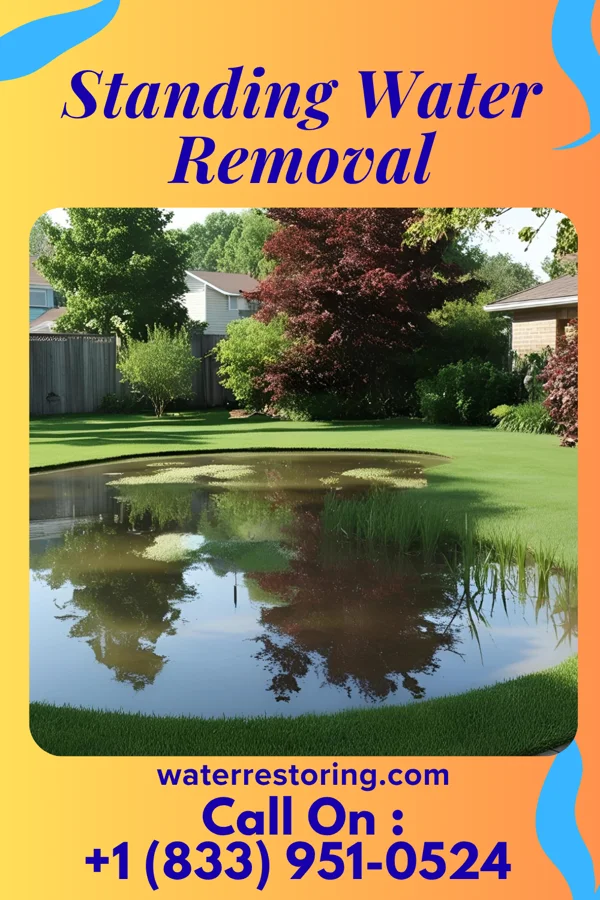 Standing Water Removal in Tuckahoe, VA
